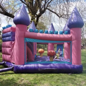 CASTILLO PRINCESAS - Image 2