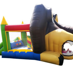 CASTILLO LEON ALEX - Image 3