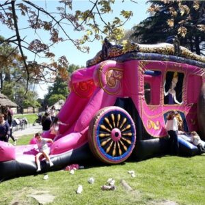 CARROZA PRINCESAS - Image 3