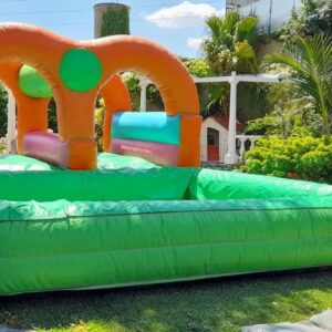 SLIDE CON PILETA