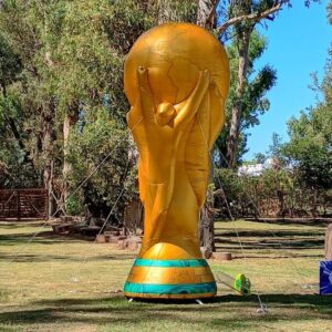 COMBO FUTBOL - Image 2